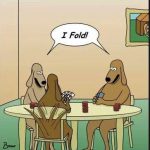 Advanced Poker Bluffing