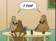 Advanced Poker Bluffing